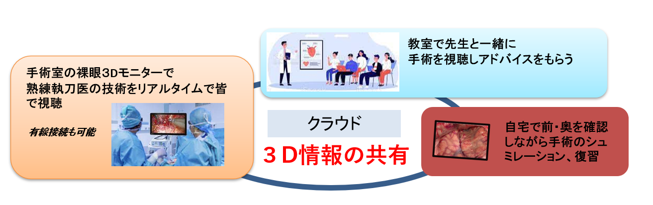 医学教育におけるN-Vision 3D